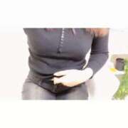 ヒメ日記 2026/01/10 17:57 投稿 ゆあ 秋葉原鑑賞ガール