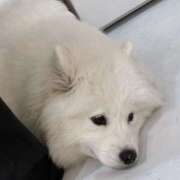 ヒメ日記 2026/02/21 10:49 投稿 ねむ 西川口マーメイド