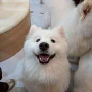 ヒメ日記 2026/03/15 09:13 投稿 ねむ 西川口マーメイド