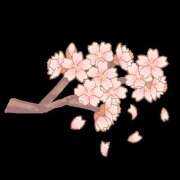 ヒメ日記 2026/04/01 20:57 投稿 ねむ 西川口マーメイド