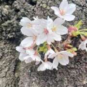 ヒメ日記 2026/04/11 00:23 投稿 ゆう 人妻熟女の秘密の関係太田足利店