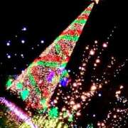 ヒメ日記 2025/12/04 18:43 投稿 あおい 人妻熟女の秘密の関係太田足利店