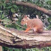 ヒメ日記 2025/12/06 18:23 投稿 あおい 人妻熟女の秘密の関係太田足利店