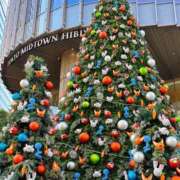 ヒメ日記 2025/12/06 22:55 投稿 あきほ モアグループ川越人妻花壇