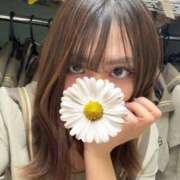 ヒメ日記 2026/01/20 21:15 投稿 なぎ ビデオDEはんど 名古屋校