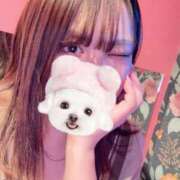 ヒメ日記 2026/02/06 00:25 投稿 なぎ ビデオDEはんど 名古屋校