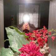 ヒメ日記 2026/02/04 10:53 投稿 TAMAKI どこかのＯＬさん達