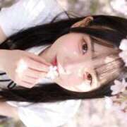 ヒメ日記 2026/04/10 09:01 投稿 りわ 極楽城(ゴクラクジョウ)