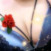 ヒメ日記 2026/02/24 22:09 投稿 堂本 人妻最後の砦 小岩店