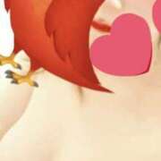 ヒメ日記 2025/12/16 08:18 投稿 さくら チューリップ土浦店