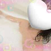 ヒメ日記 2025/12/11 00:14 投稿 マシロ cuteなミセス