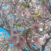 ヒメ日記 2026/02/23 16:54 投稿 マシロ cuteなミセス