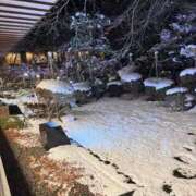 ヒメ日記 2025/12/17 07:14 投稿 ユウキ cuteなミセス