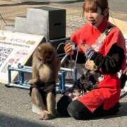 ヒメ日記 2026/02/24 07:04 投稿 ユウキ cuteなミセス