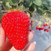 ヒメ日記 2026/03/10 07:14 投稿 ユウキ cuteなミセス