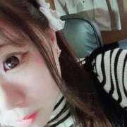 ヒメ日記 2025/12/06 07:09 投稿 める 愛媛松山ちゃんこ