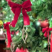 ヒメ日記 2025/12/15 16:28 投稿 めぐみさん いけない奥さん 梅田店