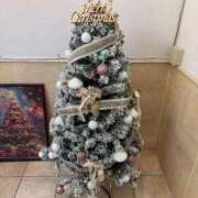 ヒメ日記 2025/12/24 08:48 投稿 ケラー 西川口デッドボール