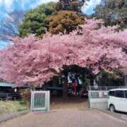 ヒメ日記 2026/03/19 07:28 投稿 ケラー 西川口デッドボール