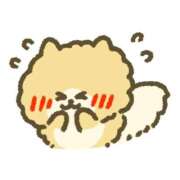 ヒメ日記 2025/12/09 14:32 投稿 ぽめらにあん(C) ぴぴすこ