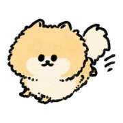 ヒメ日記 2025/12/10 10:20 投稿 ぽめらにあん(C) ぴぴすこ