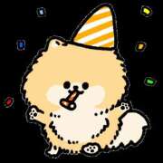 ヒメ日記 2026/02/10 14:41 投稿 ぽめらにあん(C) ぴぴすこ