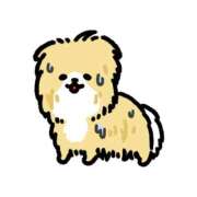 ヒメ日記 2026/03/11 16:11 投稿 ぽめらにあん(C) ぴぴすこ