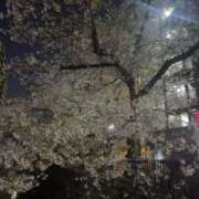 ヒメ日記 2026/04/08 20:29 投稿 宮本ありさ ザイオン 会員制アロマエステ