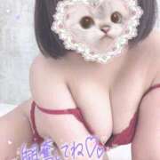 ヒメ日記 2025/12/07 12:51 投稿 はとり 奥様特急長岡店