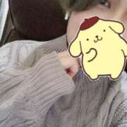 ヒメ日記 2025/12/29 16:01 投稿 はとり 奥様特急長岡店