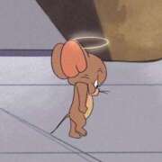 ヒメ日記 2026/03/23 23:41 投稿 はとり 奥様特急長岡店