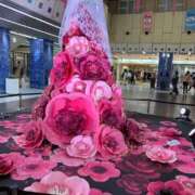 ヒメ日記 2025/12/24 18:36 投稿 沢 熟女の風俗最終章 新横浜店