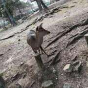 ヒメ日記 2026/01/24 15:02 投稿 沢 熟女の風俗最終章 新横浜店