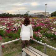 ヒメ日記 2026/01/25 11:26 投稿 沢 熟女の風俗最終章 新横浜店