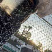 ヒメ日記 2026/03/01 17:06 投稿 沢 熟女の風俗最終章 新横浜店