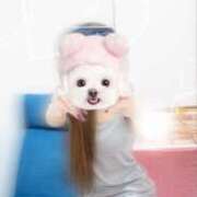 ヒメ日記 2025/12/08 23:03 投稿 屋良 しおり HANA-okinawa-