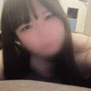 ヒメ日記 2026/01/08 17:20 投稿 ハルキ いたずらバニーちゃん