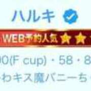 ハルキ うぇん いたずらバニーちゃん