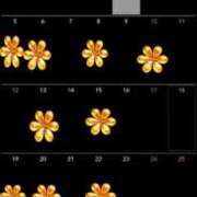 ヒメ日記 2026/10/02 19:15 投稿 ゆうな しらゆき姫　必ず見つかる！貴方のお姫様