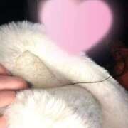 ヒメ日記 2025/12/30 12:31 投稿 せいな 名古屋性感回春エステ エルミタージュ