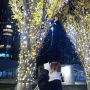 ヒメ日記 2026/01/08 14:45 投稿 せいな 名古屋性感回春エステ エルミタージュ