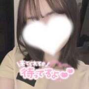 ヒメ日記 2026/06/17 10:04 投稿 せいな 名古屋性感回春エステ エルミタージュ