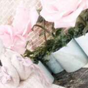 ヒメ日記 2025/12/01 22:35 投稿 ゆあ 池袋夢幻