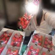 ヒメ日記 2026/04/08 17:00 投稿 かずは VIVIDCREW 梅田堂山店