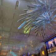 ヒメ日記 2025/12/12 04:31 投稿 らいむ ピンクコレクション大阪