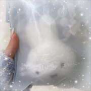 ヒメ日記 2026/01/22 18:41 投稿 らいむ ピンクコレクション大阪