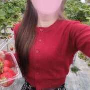 ヒメ日記 2026/03/03 11:41 投稿 らいむ ピンクコレクション大阪