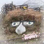 ヒメ日記 2026/03/03 17:31 投稿 らいむ ピンクコレクション大阪