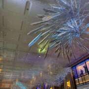 ヒメ日記 2025/12/12 04:32 投稿 らいむ ピンクコレクション尼崎店