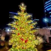 ヒメ日記 2025/12/14 22:08 投稿 リオ CECIL